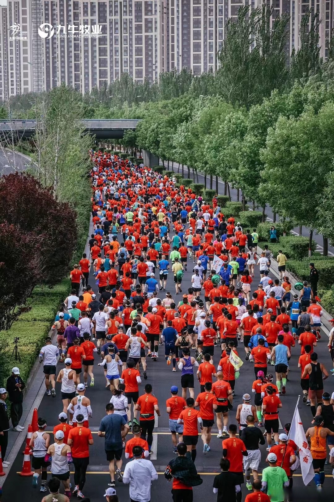 马拉松为什么是42.195公里(马拉松距离为什么是42195km)